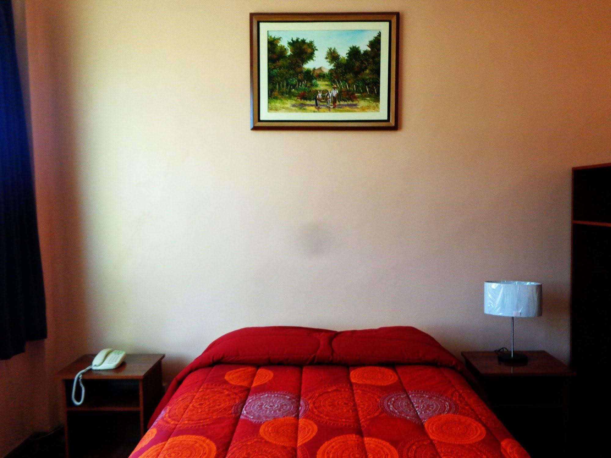 Hotel Colon Plaza Ica Exterior photo